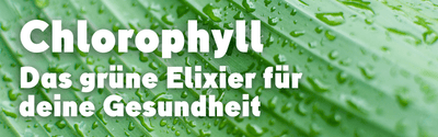 Die Wunder des Chlorophylls: Ein umfassender Leitfaden