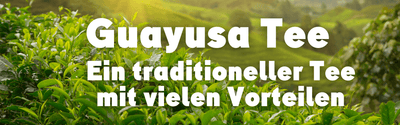 Guayusa Tee: Eine Traditionelle Deutsche Getränkevariante mit Amazonischem Flair