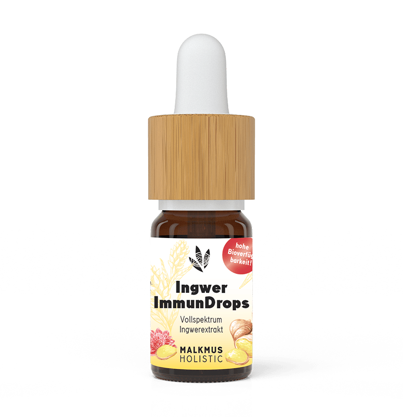 Ingwer ImmunDrops: Hochkonzentriert für maximale Wirkung und Geschmack - Malkmus Holistic