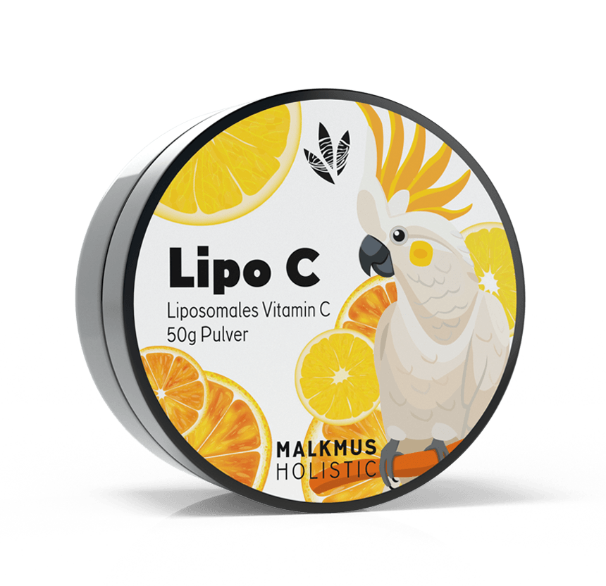Lipo C - Der natürliche Immunsystem-Booster - Malkmus Holistic