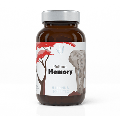 Memory: Der Brainbooster für mentale Fitness und geistige Leistungsfähigkeit - Malkmus Holistic