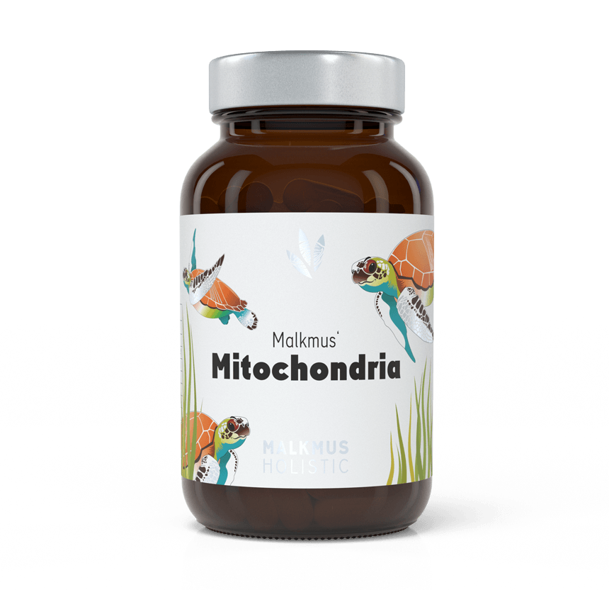 Mitochondria: Maximale Energiegewinnung für mehr Power im Alltag - Malkmus Holistic