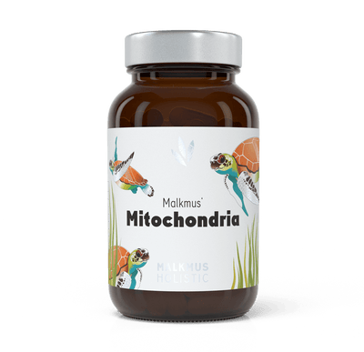 Mitochondria: Maximale Energiegewinnung für mehr Power im Alltag - Malkmus Holistic